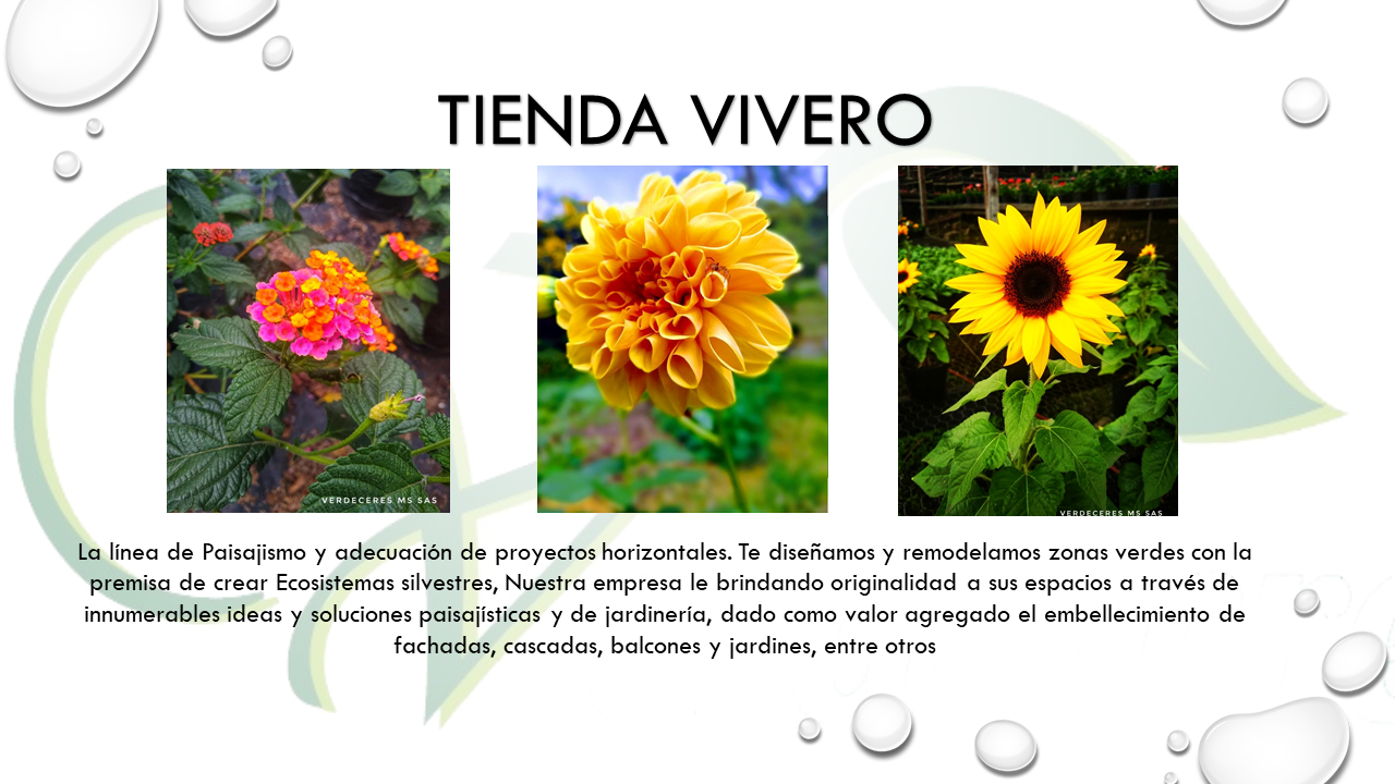 images thumbnail