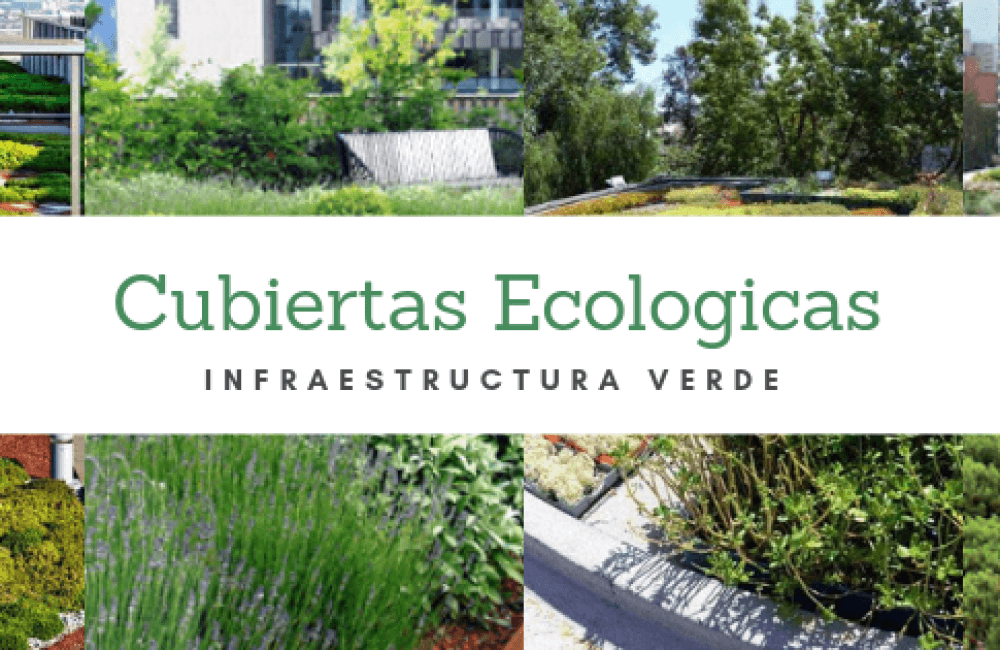 cubierta ecológica