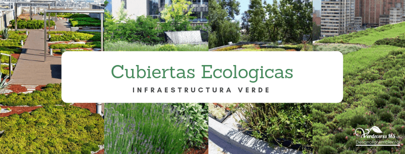 cubierta ecológica